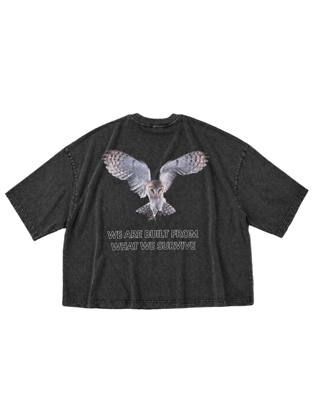 OWL TS - 029