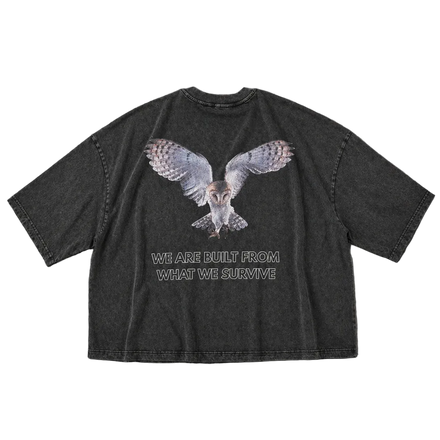 OWL TS - 029